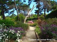 Carmel River Inn