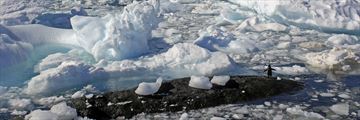 Icebergs in Antarctica
