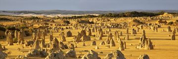 Pinnacles in Nambung National Park