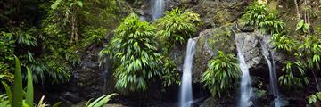 Rainforest waterfalls in Tobago