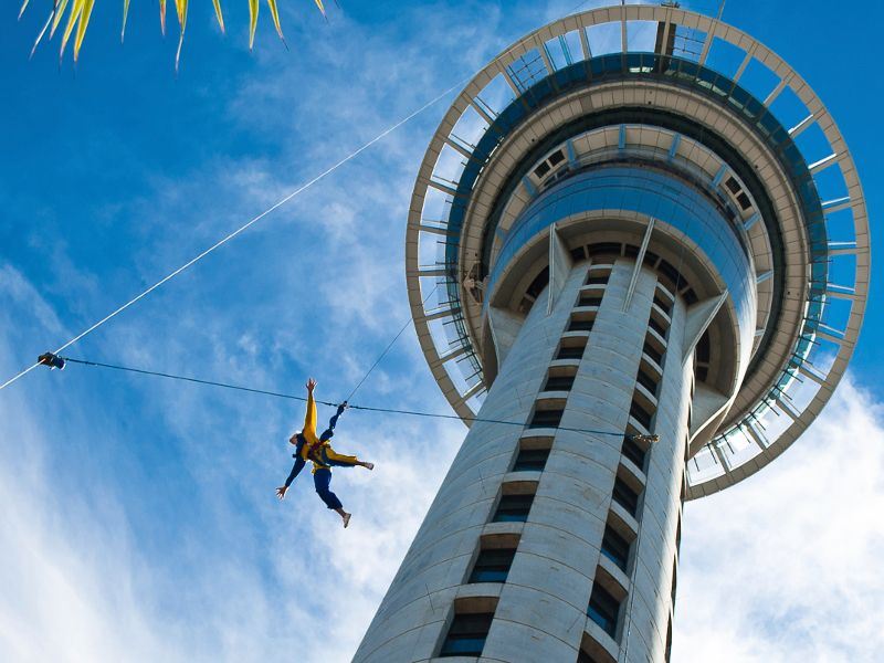 auckland sky tower and bungee jumper