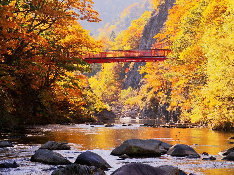 autumn colours hokkaido