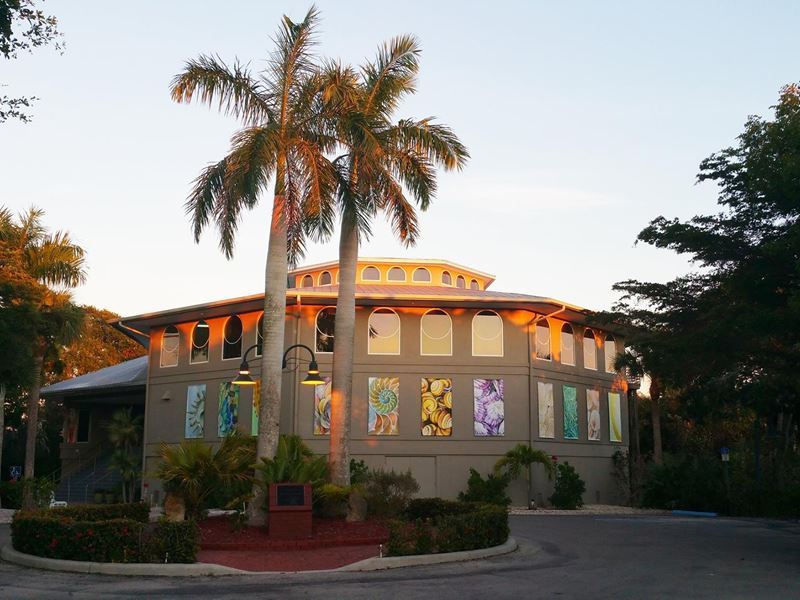 bailey matthews national shell museum ft myers