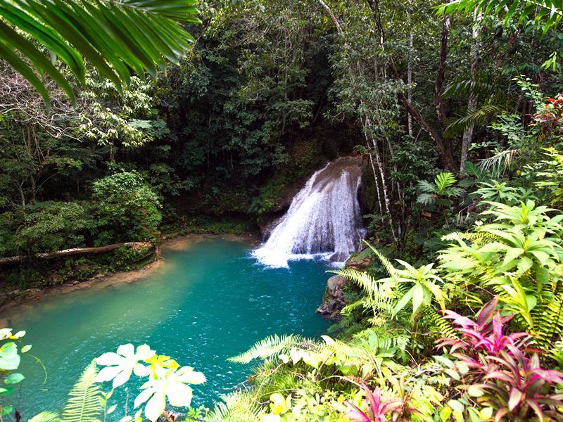 blue lagoon jamaica