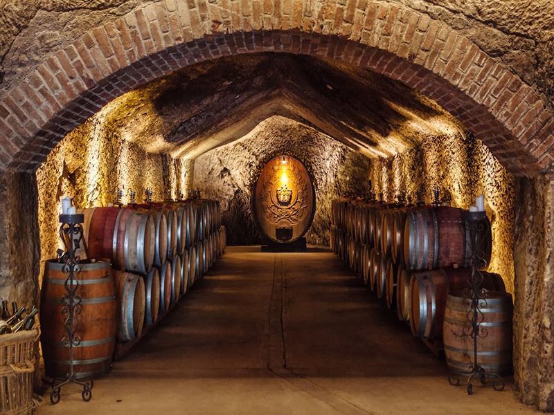 buena vista wine cellar scott chebegia photography