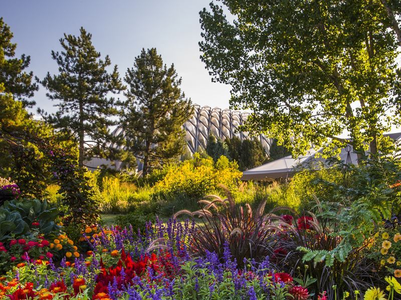 denver botanic gardens colorado