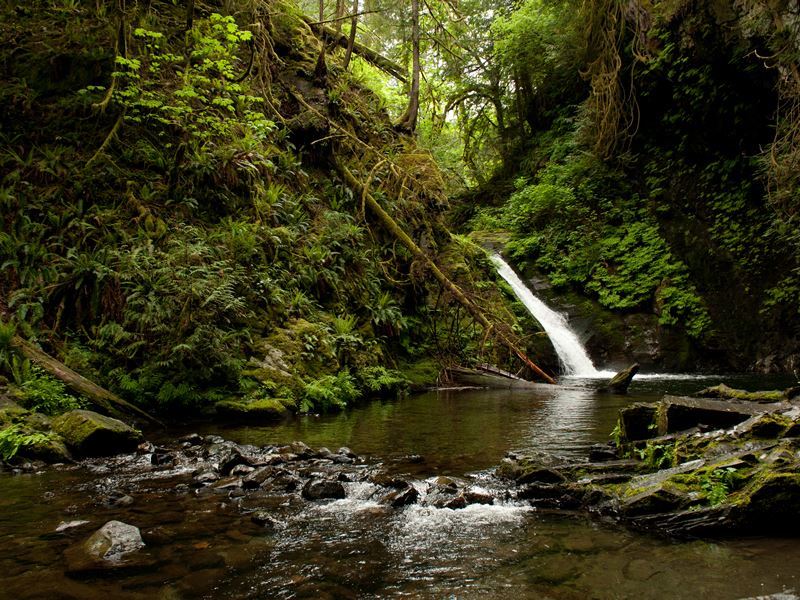 goldstream park vancouver island