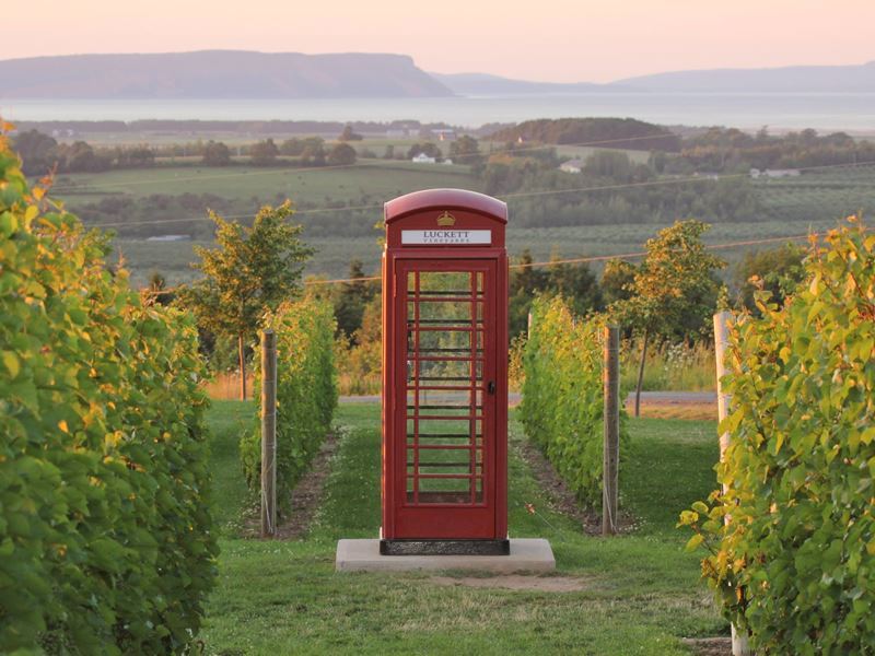 lucketts vinyard nova scotia