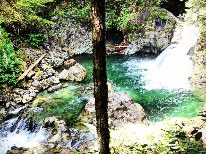 lynn canyon baden powell trail north vancouver