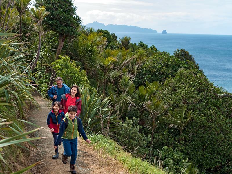 mangawhai northland n island new zealand