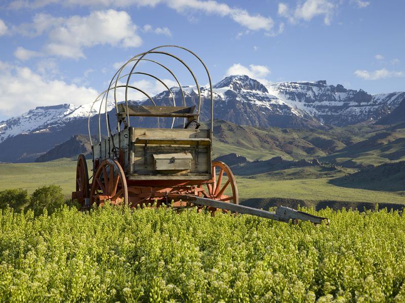 old wagon in wyoming