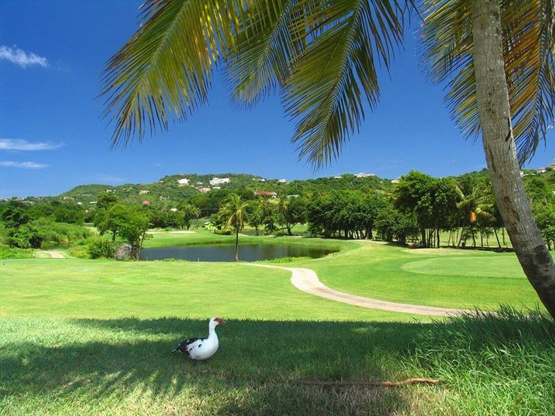 st lucia golf club