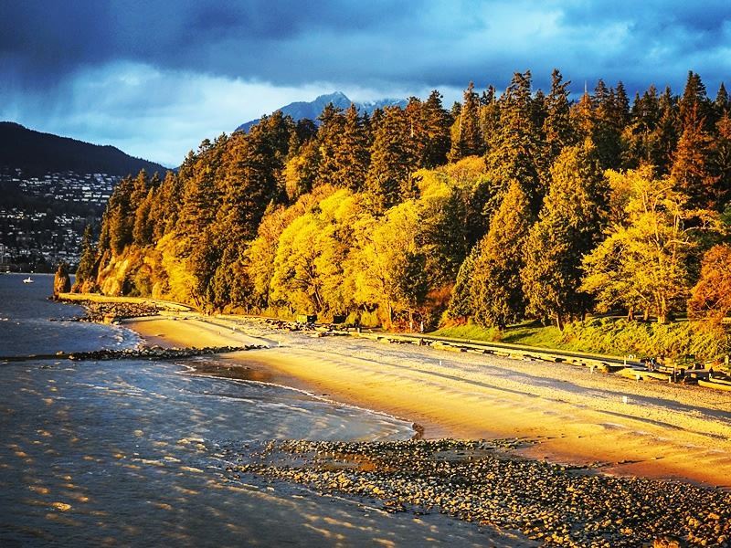 Vancouver - Outdoor Exercise Park - Stanley Park - Canada - Spot